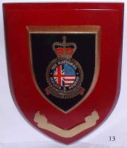 Association Sheild